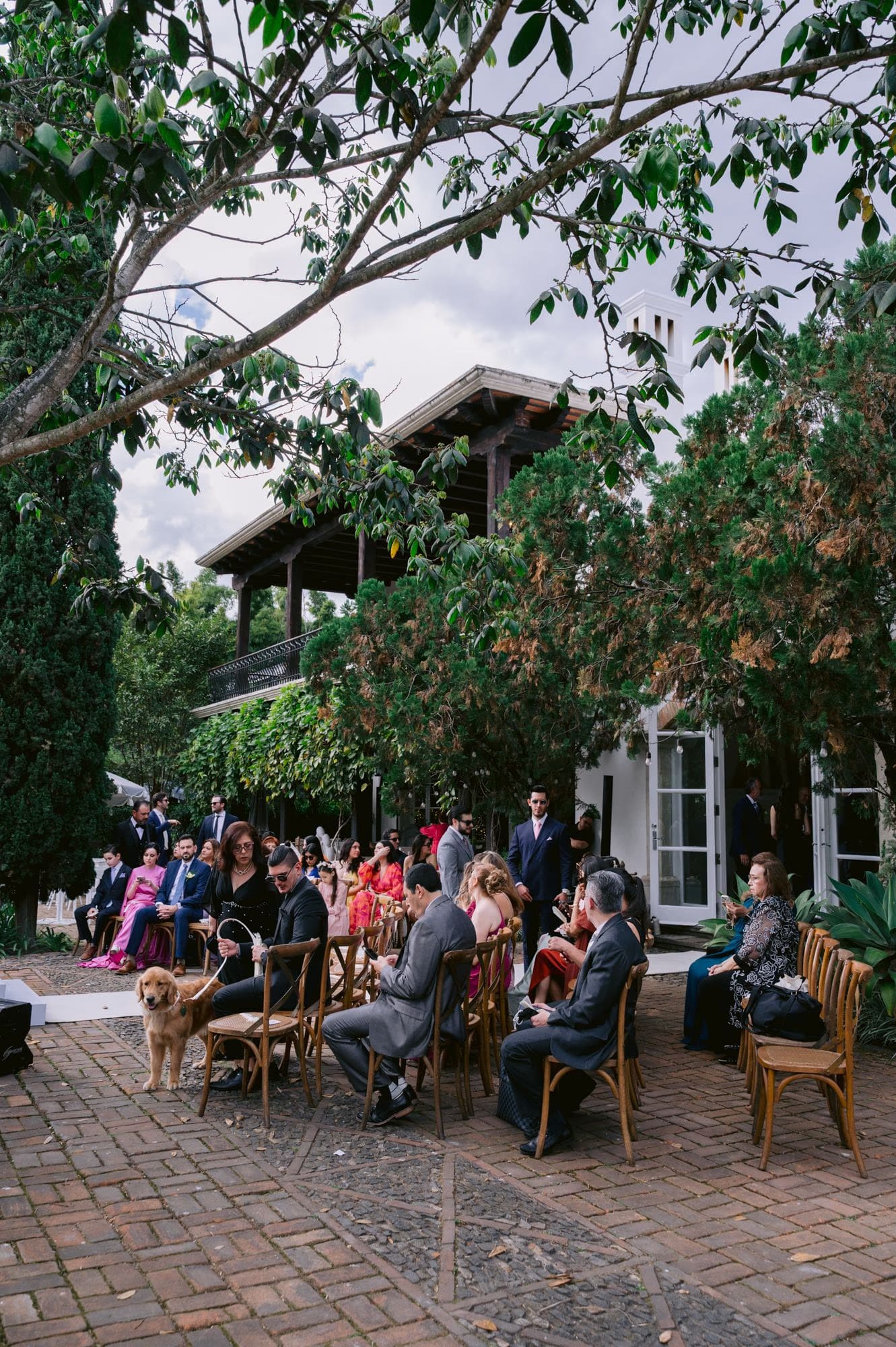 Guests gather on the cobblestone courtyard with Nala the golden retriever waiting calmly nearby.