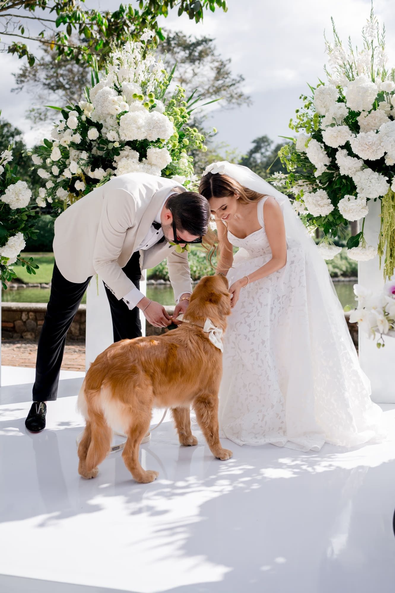 Bride and groom bend down together to greet Nala the golden retriever at the floral altar — destination wedding moment.