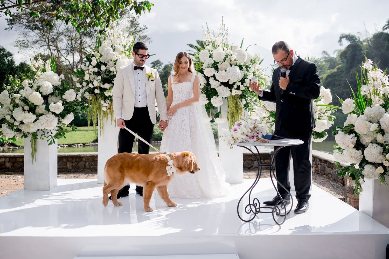 Officiant reads while Nala the golden retriever pads across the altar between bride and groom at Villa Bokeh.