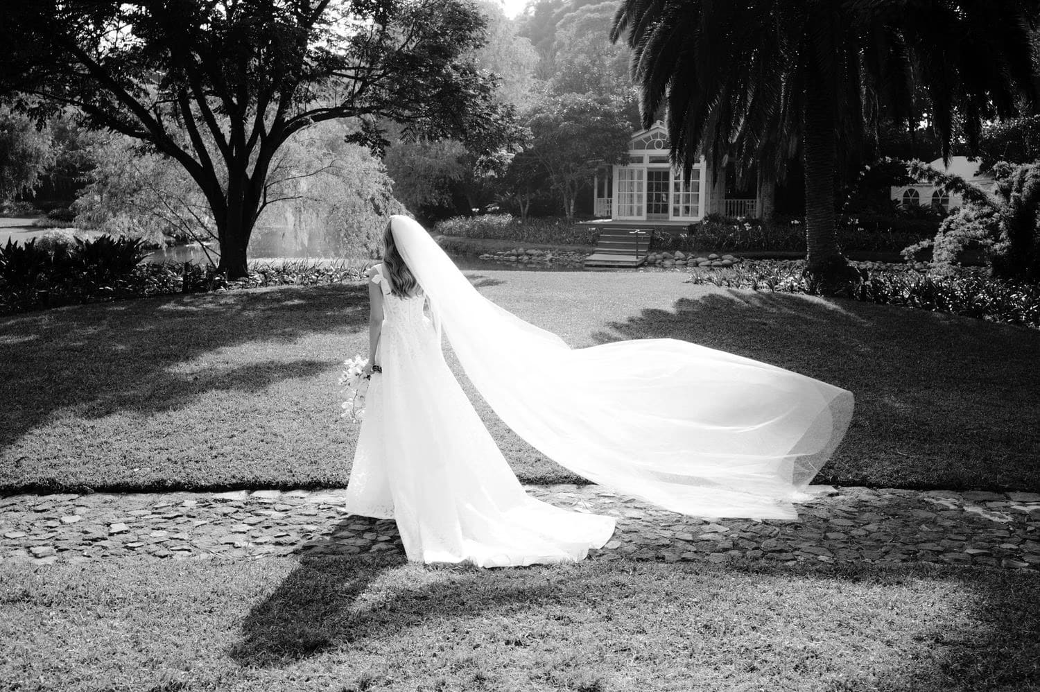 Bride's veil billows as she walks across the lawn toward a colonial garden house in black and white.