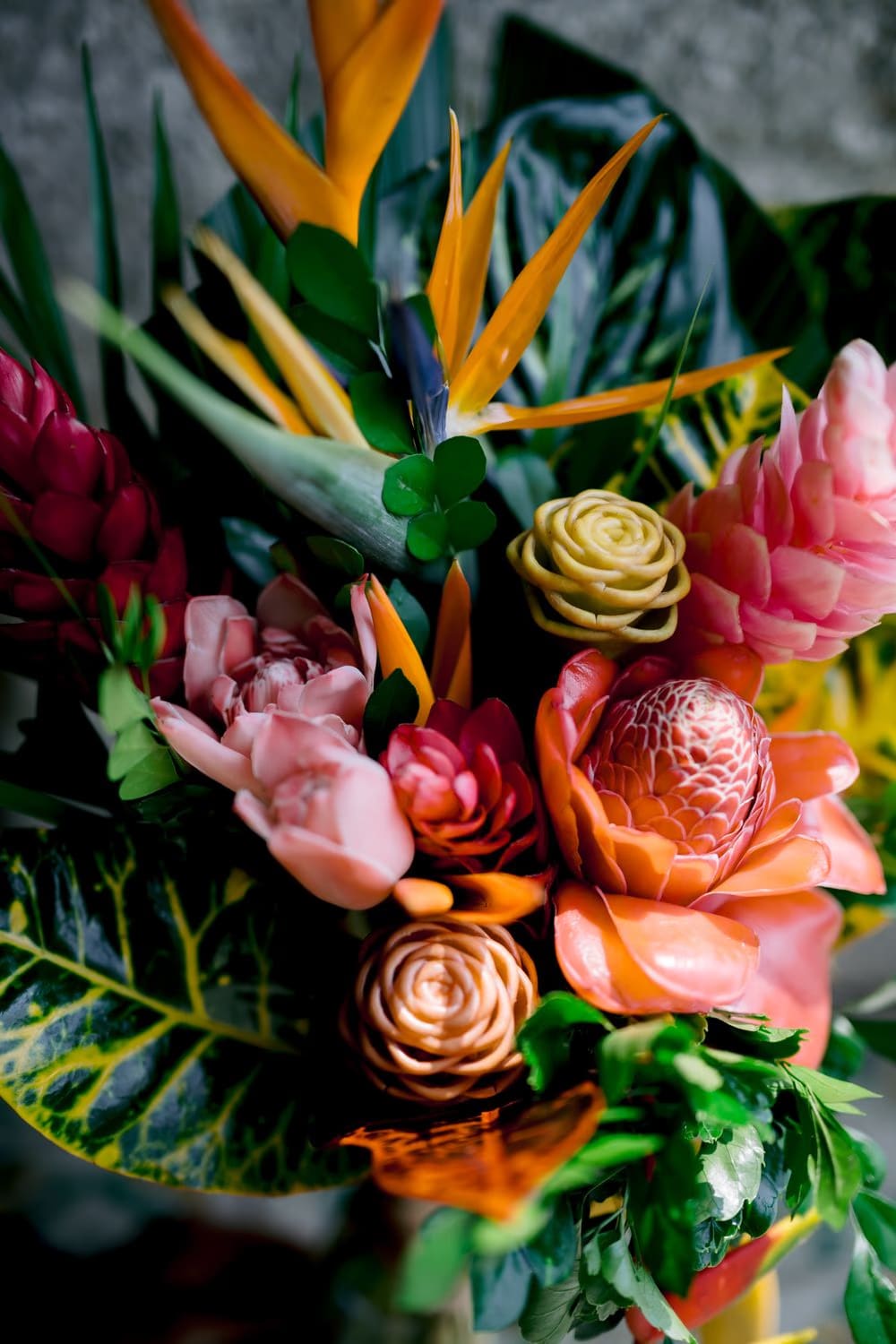 Tropical bridal bouquet close-up with birds of paradise, torch ginger and croton leaves — destination wedding floral detail.
